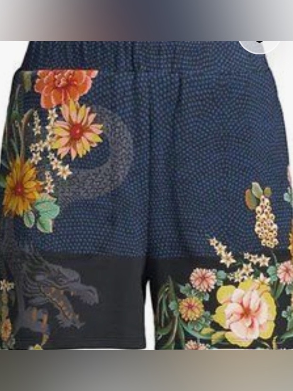 Johnny Was JW Los Angeles Dragona Women's Shorts Size XS
